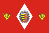 Флаг