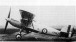 Hawker hornet(1929).jpg