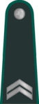 Lithuania-BorderGuard-JuniorNCO.png