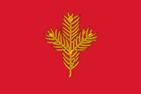 Флаг