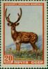 The Soviet Union 1957 CPA 1989 stamp (Sika deer) (Volume horns).jpg