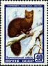 The Soviet Union 1957 CPA 1993 stamp (Sable).jpg