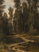 At the Edge of a Birch Grove (Shishkin).jpg