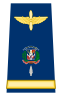 Capona mayor fuerza aerea dominicana.svg