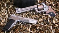 DCB Shooting Bren Ten & SW 610.jpg