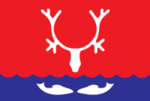 Flag of Naryan-Mar.png