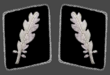 HH-SS-Standartenfuhrer-Collar.png