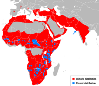 Lion distribution.png