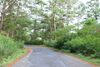 Road to Radar base.jpg