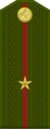Tajikistan-Army-OF-1a.png