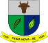 Brasao feiranova.svg