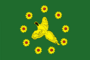 Flag of Bikinsky rayon.png