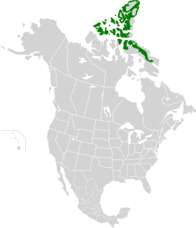 High Arctic tundra map.svg