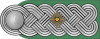 ORPO-Oberstleutnant h.svg
