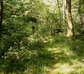 Radevormwald Neuenhammer - Uelfe 02.jpg