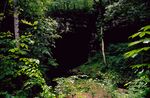 Russell Cave Entrance RUCA9323.jpg