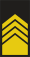 Slovenia-Navy-OR-8a.svg