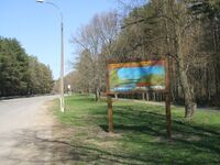 Сестрорецкий Разлив Лесопарк Разлив.JPG