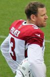 Carson Palmer 2015.JPG