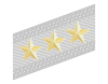 Rank insignia of generale di corpo d'armata of the Alpini.svg