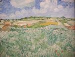 Van Gogh - Ebene bei Auvers 1300251.jpg