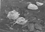 Édouard Manet - Natur-Morte, Roses et Pètales..jpg