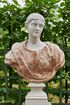 Санкт-Петербург, Летний сад. Бюст «Молодая женщина в розовой драпировке» 2.jpg