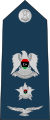 10.Libyan Air Force-LTC.svg