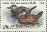 1991 CPA 6336.jpg