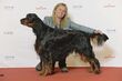 BIR Grupp 7- GORDONSETTER, Sansetters Roover (24234227995).jpg