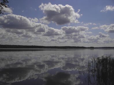 Озеро Балуошас&nbsp;— одно из 126 озёр литовского Озёрного края