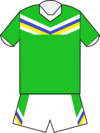 Canberra Raiders home jersey 2012.png