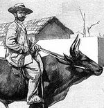 Explorer Max Buchner.jpg