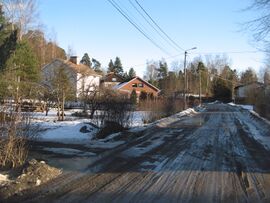 Fågelhuvudvägen mars 2009.jpg