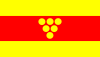 Flag of Negotino Municipality, North Macedonia.svg