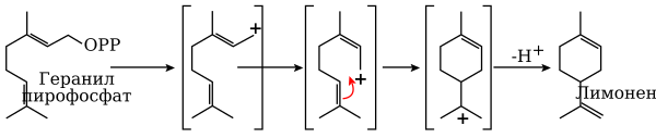 Биосинтез лимонена