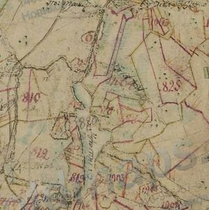 Ozero Tishadra (plan general'nogo mezhevaniya).jpeg