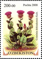 Stamps of Uzbekistan, 2008-26.jpg