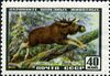 The Soviet Union 1957 CPA 1992 stamp (Eurasian Elk).jpg