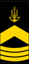 UANs shoulder mark 08.svg
