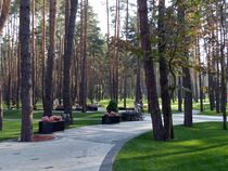 Парк ЦЕНТРАЛЬНІЙ (13).jpg