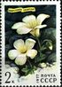 Почтовая марка СССР № 4696. 1977. Цветы гор Сибири.jpg