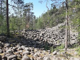 Harjandeh Kalattomatalemmet-järven čupul