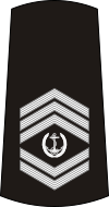 08-Serbian Navy-WO1.svg