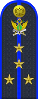 12.погон ФССП - капитан.png
