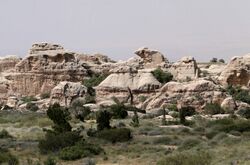 Dana Reserve 04.jpg