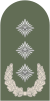 Dienstgrad Bundeswehr Heer 271 Oberst.svg