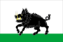 Flag of Novozalesnovskoe (Perm krai).png