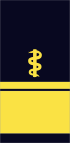 GE-NAVY-OF-6med AdmArzt.svg