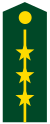 PLA Captain.svg